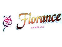 Florance