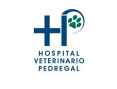 Hopital Veterinario Pedregal