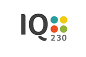 IQ 230