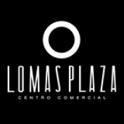 Cerrajería Lomas Plaza