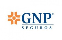 GNP