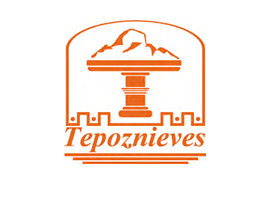 Tepoznieves