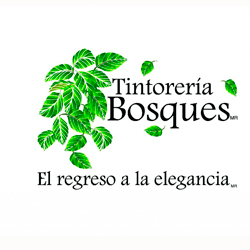 Tintorería Bosques