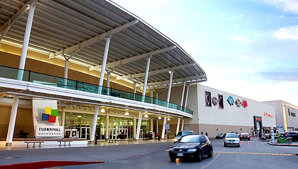 Fashion Mall Chihuahua